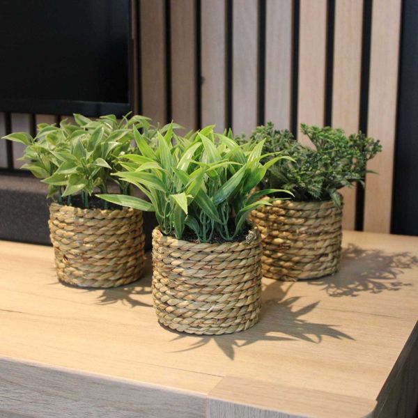 Plante artificielle avec pot tressé (Lot de 3) - SIF-0553