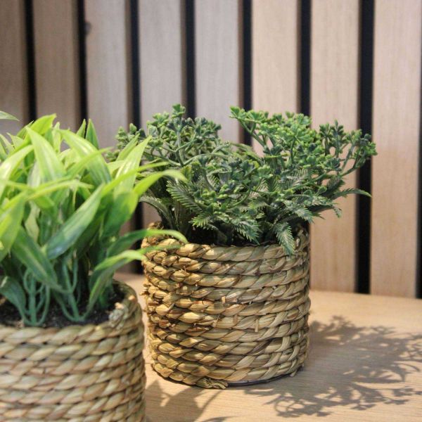 Plante artificielle avec pot tressé (Lot de 3) - 5