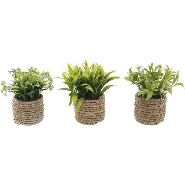 Plante artificielle avec pot tressé (Lot de 3)