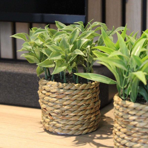 Plante artificielle avec pot tressé (Lot de 3) - 13,90