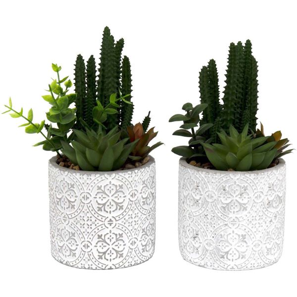 Plante succulente artificielle pot en ciment (Lot de 2)