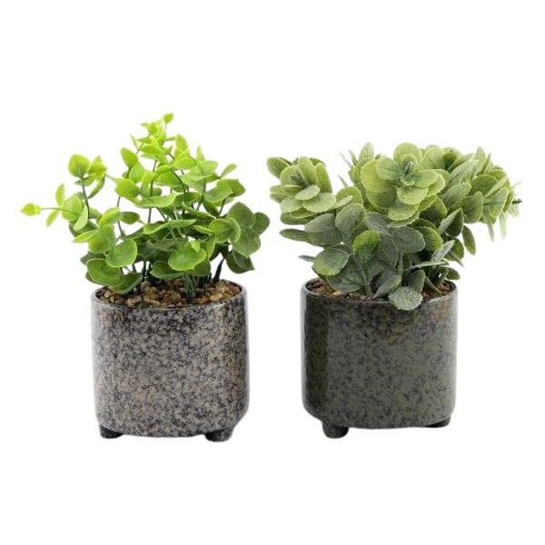 Plante succulente artificielle en pot émaillé (Lot de 2)