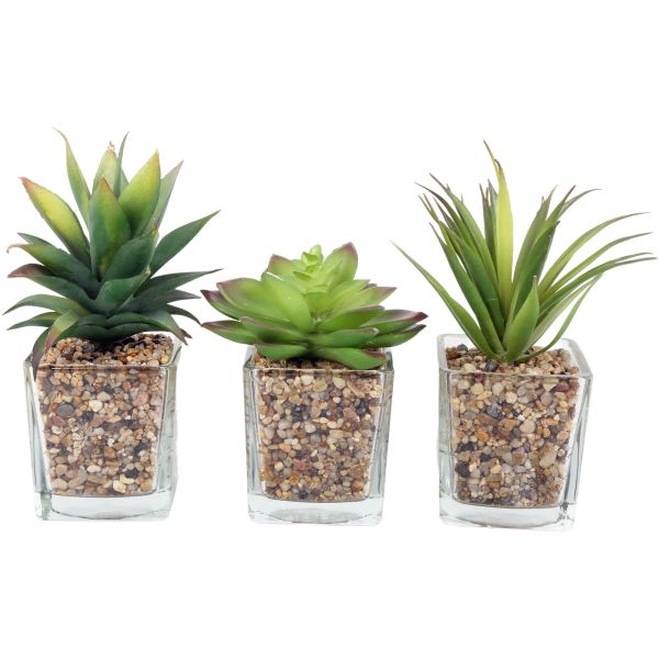 Plantes artificielles dans pot en verre 6.5 x 6.5 x 17 cm (Lot de 3)