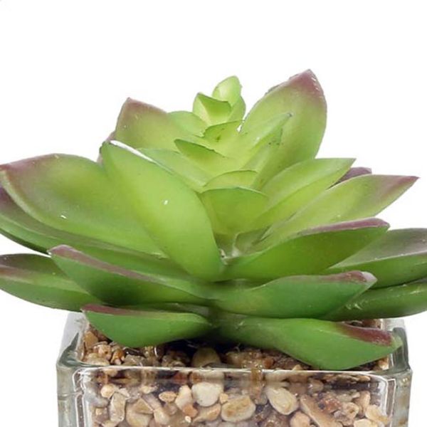 Plantes artificielles dans pot en verre 6.5 x 6.5 x 17 cm (Lot de 3) - SIF-0479