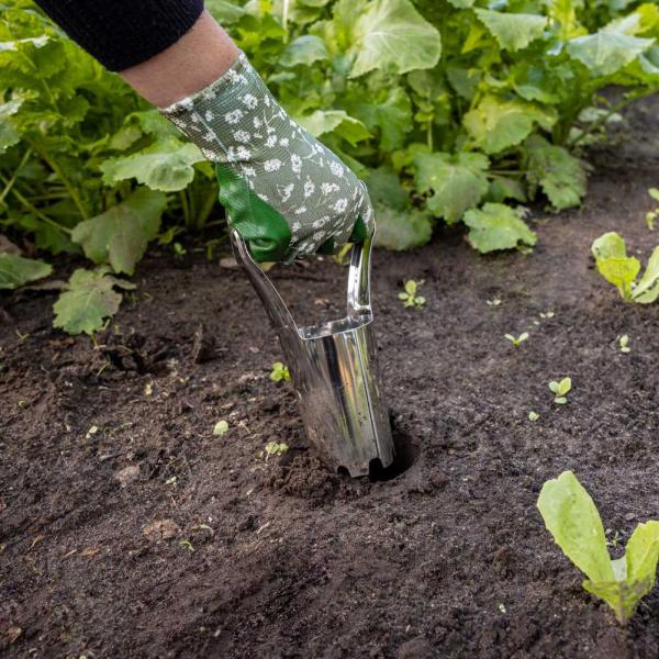 Planteur à bulbes en acier inoxydable et bois de frêne - GARDEN TOOLS