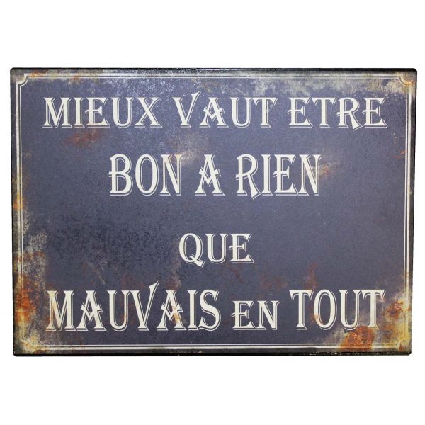 Plaque en métal humour 21 x 15 cm