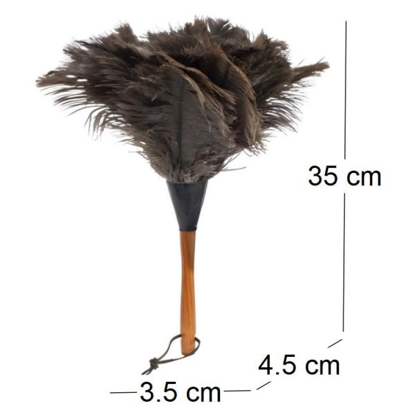 Plumeau en plumes d'autruche - BURSTENHAUS REDECKER