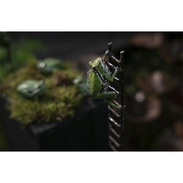 Pluviomètre grenouille en métal recyclé - ARR-0127