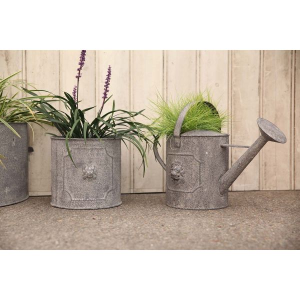 Pot de fleurs ronds Lion (Lot de 2) - 6