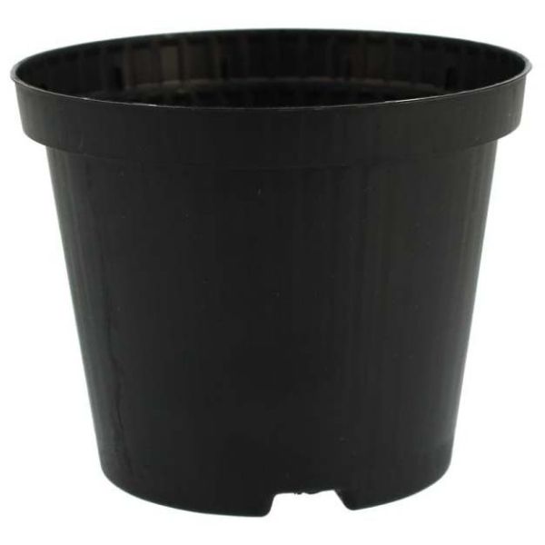 Pot de plantation rond noir 10 cm de diamètre - 