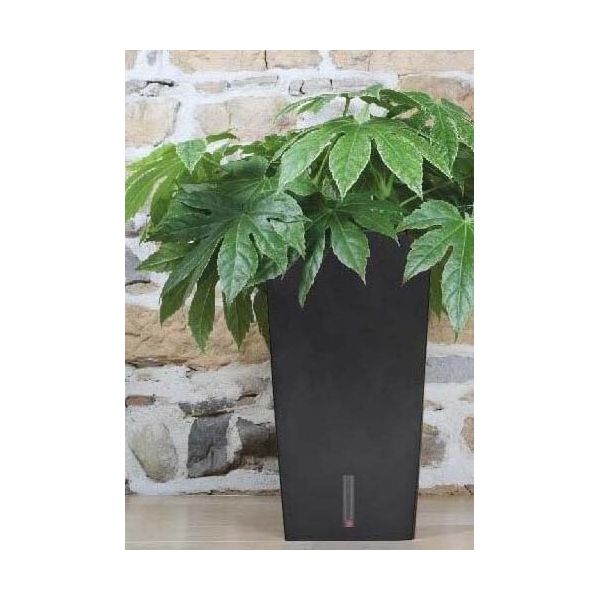 Pot en plastique carré avec réserve d'eau 52 cm Eva - RIVIERA