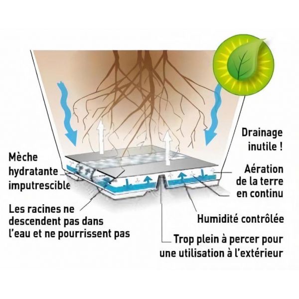 Pot en plastique carré avec réserve d'eau 52 cm Eva - 59,90