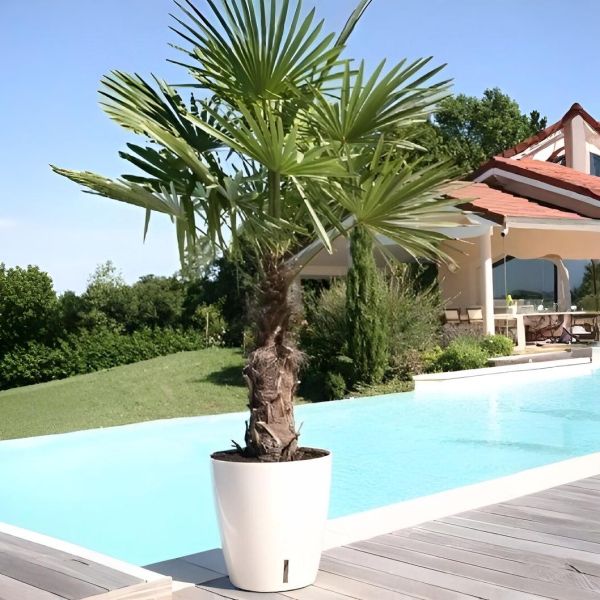 Pot en plastique rond avec réserve d'eau 35 cm Eva - RIVIERA