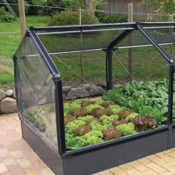 Potager PVC avec serre et protection Veg - 6