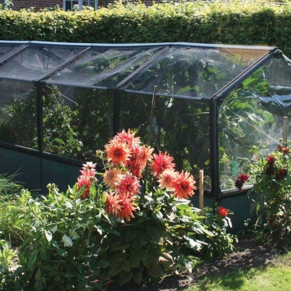 Potager PVC avec serre et protection Veg - 7