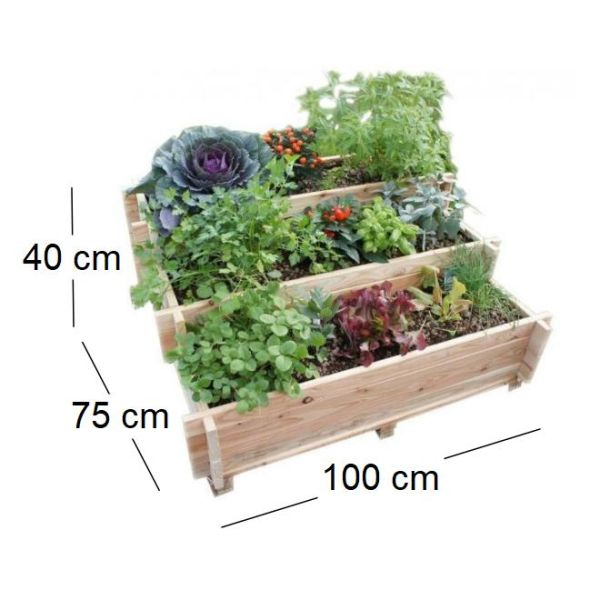 Potager escalier à légumes en mélèze - ETS-0101