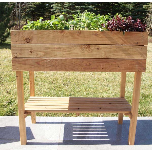 Potager sur pied en mélèze huilé 100 x 30 x 95 cm - ROBIN HOOD