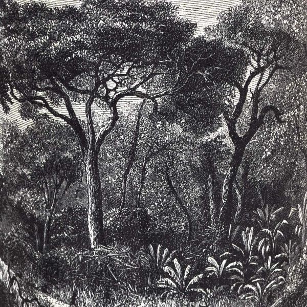 Pouf en tissu à motifs Black forest 28 x 36 cm - 31,90