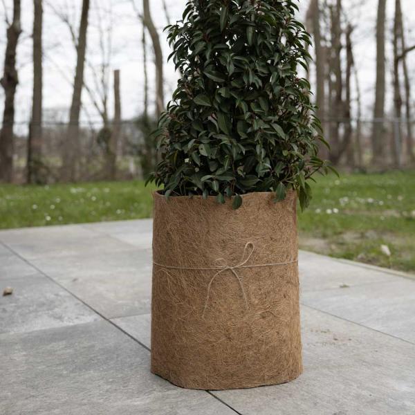Protection coco en rouleau 50 x 150 cm - 7