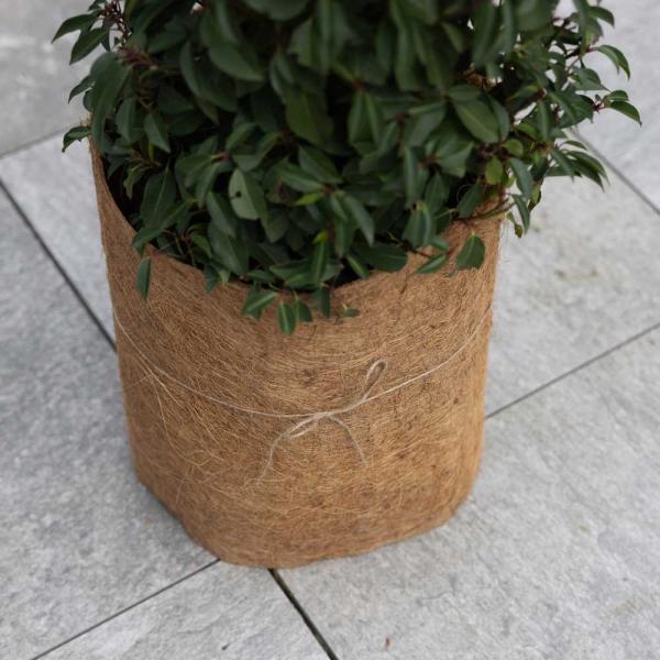Protection coco en rouleau 50 x 150 cm - GARDEN TOOLS
