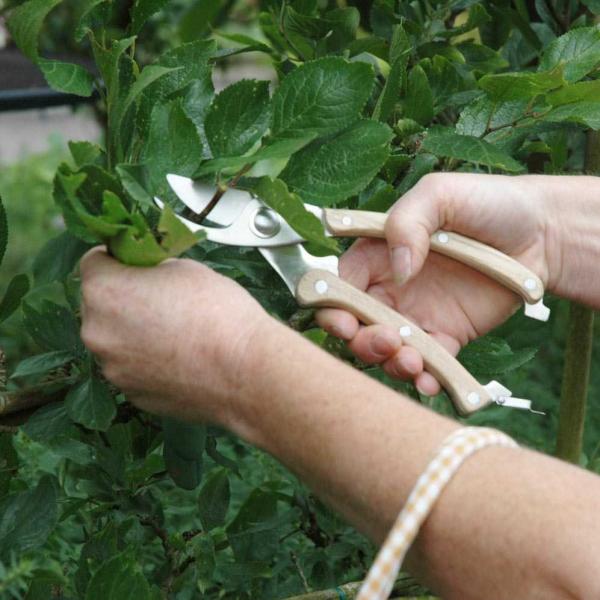 Sécateur en acier inoxydable poignée ergonomique - GARDEN TOOLS
