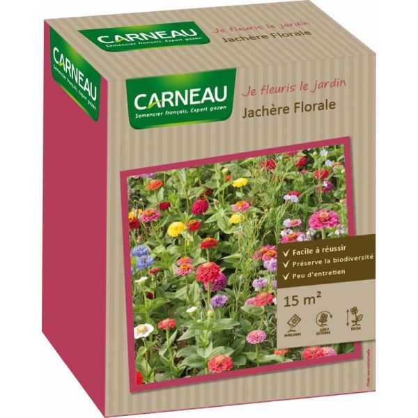 Semence Jachère florale facile à réussir 15 m²