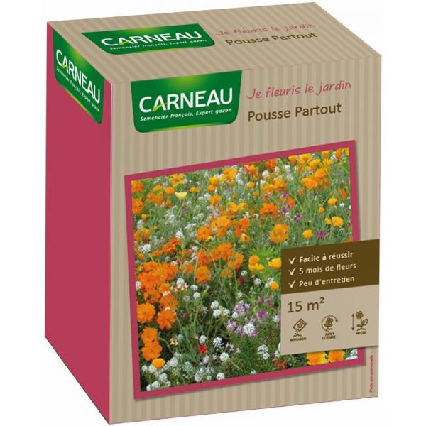 Semence 5 mois de fleurs 15 m²