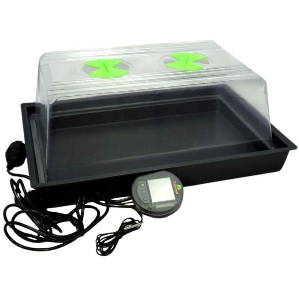 Serre X-Stream Small avec thermostat