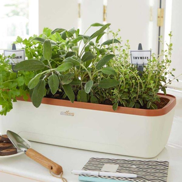 Serre d'intérieur Boqube plus - 