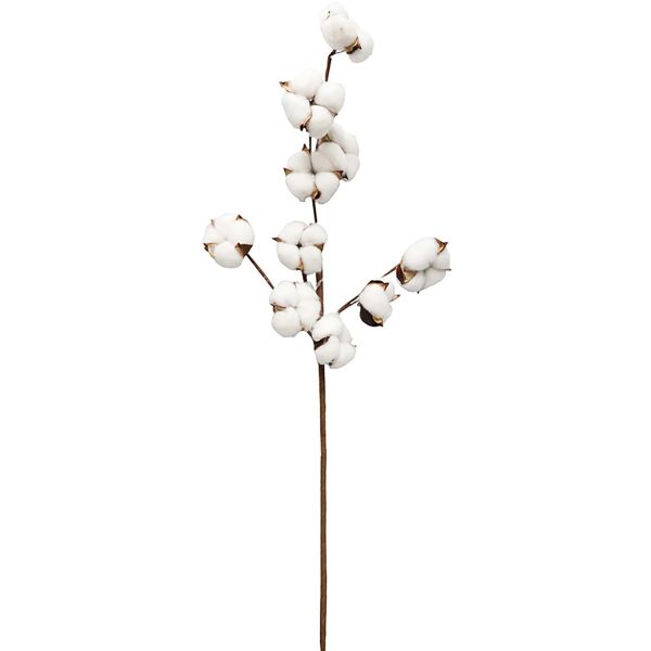 Set de 3 branches de coton 70 cm