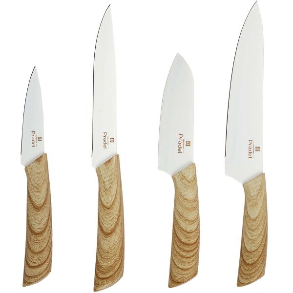 Set 4 couteaux avec support aimanté  Pradel - 26,90