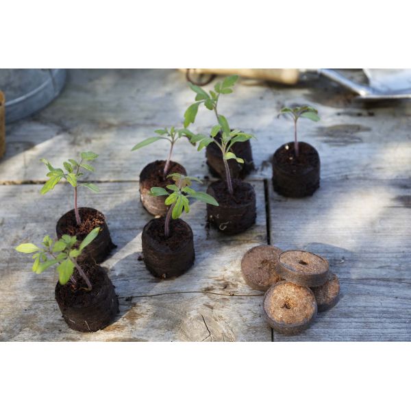 Set de 50 poches de plantation en filet - GAM-0381