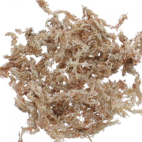 Sphaigne du Chili 250gr - 19,50