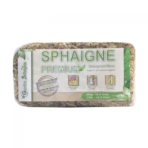 Sphaigne du Chili 250gr - 