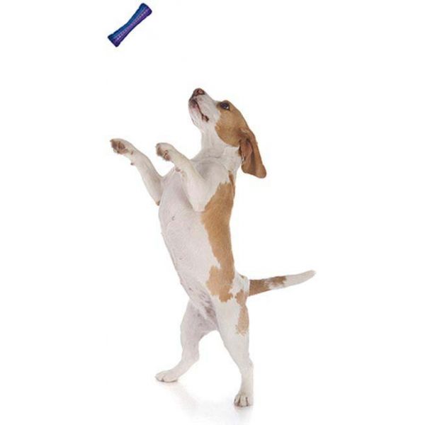 Stick chien en plastique coloré 15 cm - CMP-1572