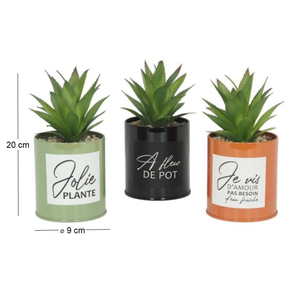 Succulentes artificielles dans pots colorés 17 cm (Lot de 3) - 20,09