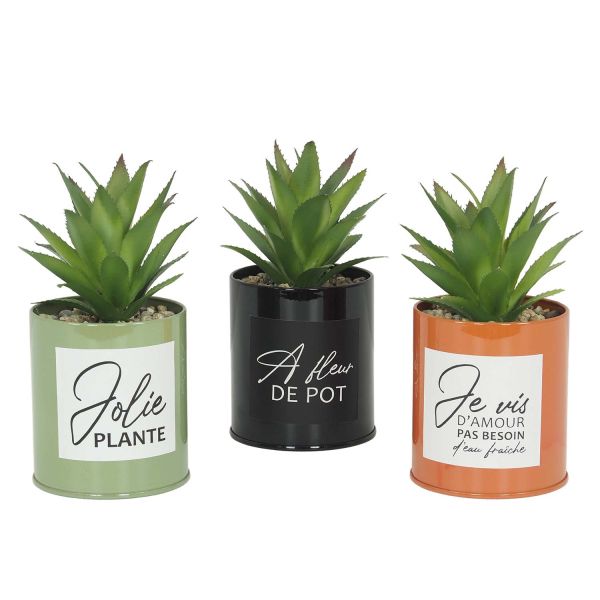 Succulentes artificielles dans pots colorés 17 cm (Lot de 3)