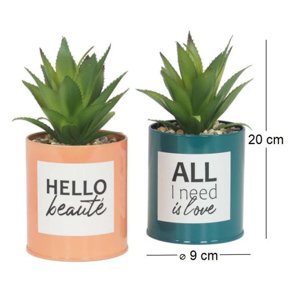 Succulentes artificielles dans pots à message 17 cm (Lot de 2) - 10,44
