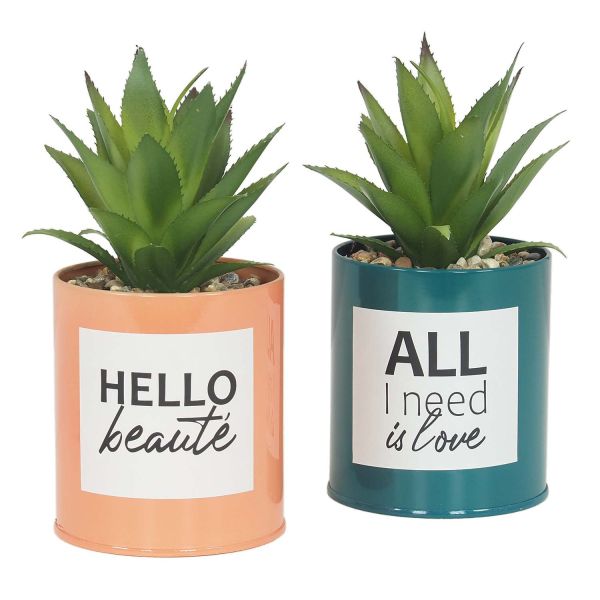 Succulentes artificielles dans pots à message 17 cm (Lot de 2)