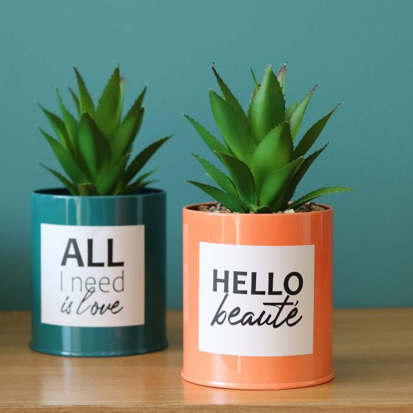 Succulentes artificielles dans pots à message 17 cm (Lot de 2) - LIGNE DECO