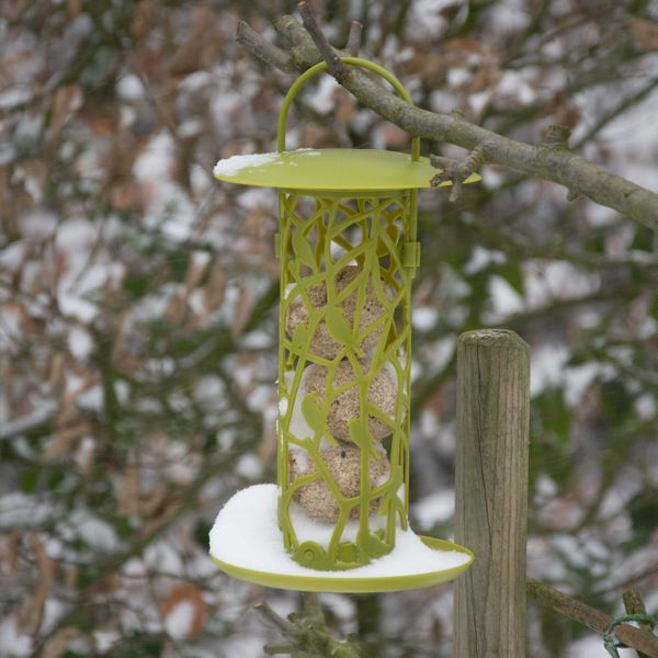 Mangeoire silo pour oiseaux Chiffchaff - BEST FOR BIRDS