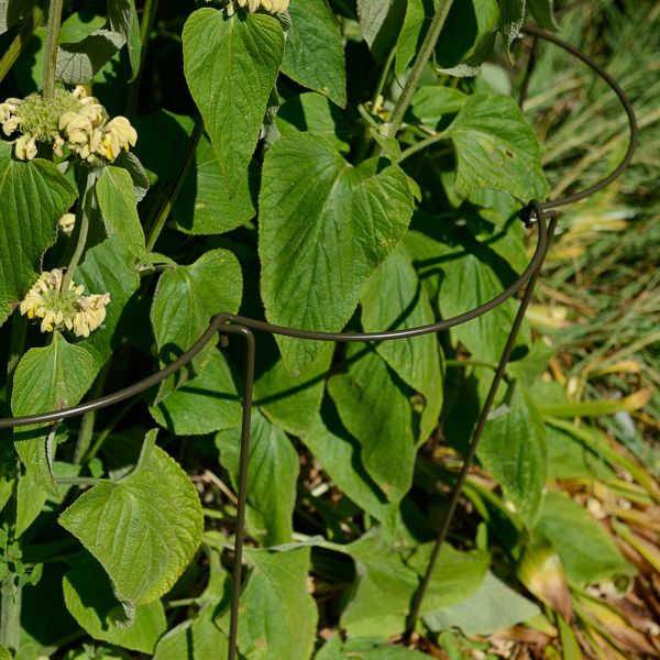 Support à plantes courbé en acier (Lot de 6) - 5