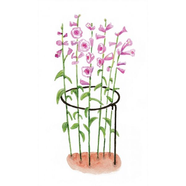 Support à plantes rond en acier 20 cm (Lot de 3) - 6