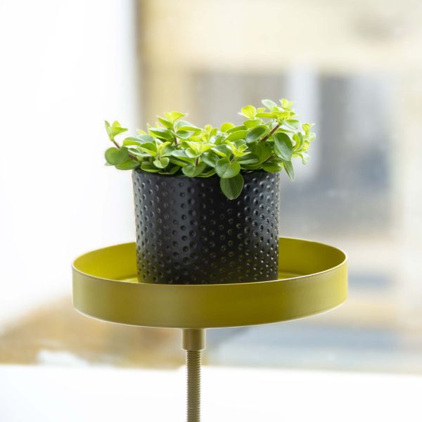 Support à plantes rond à fixer hauteur réglable doré - 5