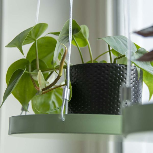 Support à plantes rond à suspendre vert - 7