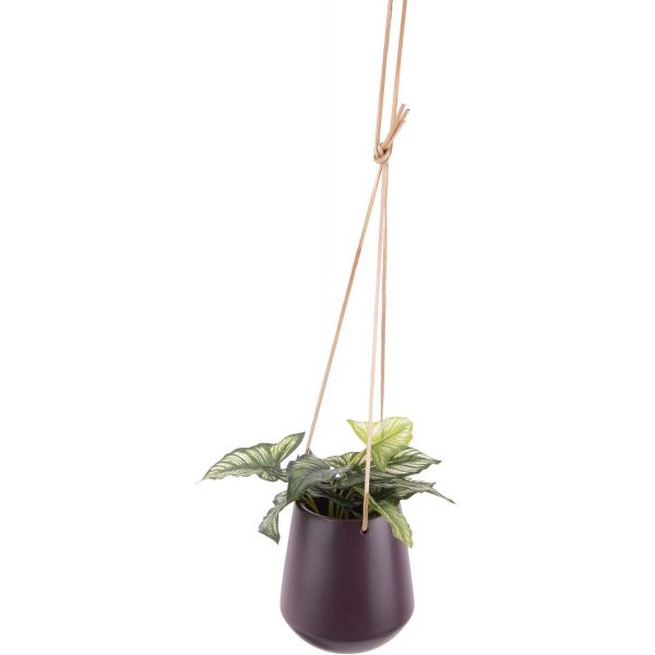 Support à plantes à suspendre Skittle medium - PRE-0754