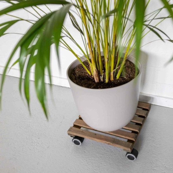 Support à roulettes en bois pour plantes d'intérieur - ESSCHERTS GARDEN