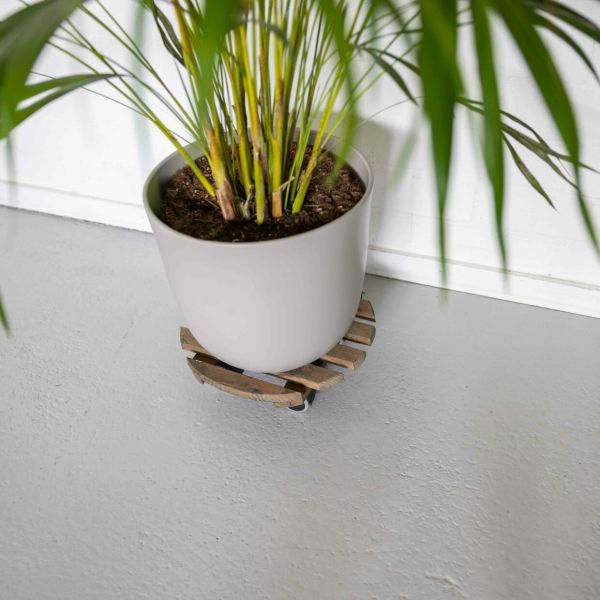 Support à roulettes en bois pour plantes d'intérieur - 5