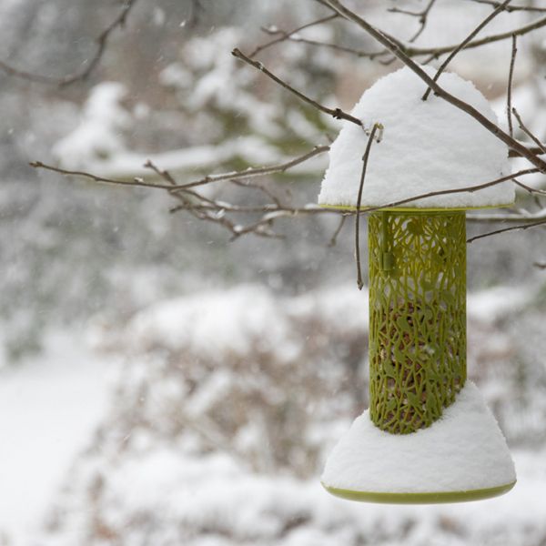 Mangeoire silo pour oiseaux Chiffchaff - BEST FOR BIRDS