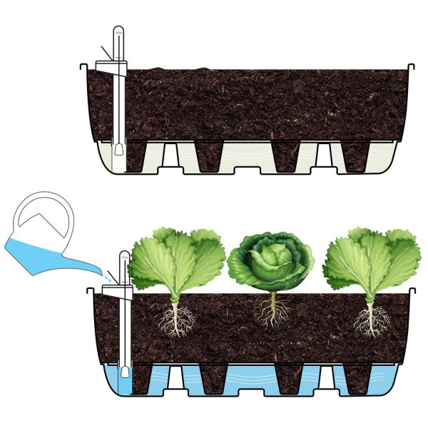 Système d'auto-arrosage pour potager - SIA-0112